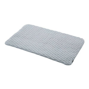 CB JAPAN J|R oX}bg L O[