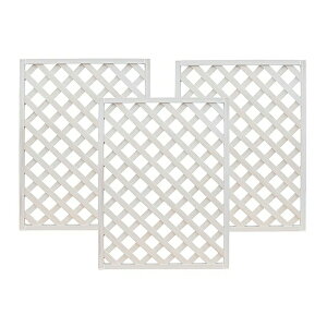 i Vi-g eBX 1290 zCg 3Zbg aks-21915 [J[