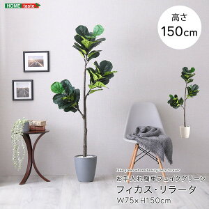 z[eCXg SH-06-FIC-M ȒPtFCNO[ tBJXE[^ MTCY(150cm) O[ [J[