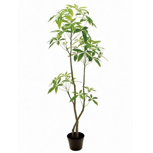 �p�L�� ����180 ���� �t�F�C�N�O���[�� �C���e���A�O���[�� �� �΂̂��鐶�� �C���e���A �t�F�C�N �� ������ 6FGREEN�@FG012100 ���[�J�[����