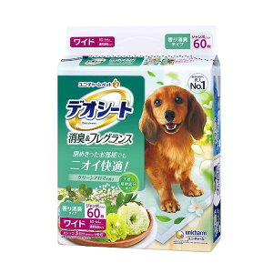 j`[ fIV[g L&tOX O[A}̍ Ch 60