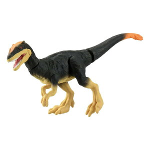 �^�J���g�~�[ �A�j�A AS-23 �f�B����