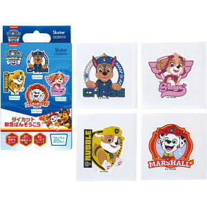 XP[^[ QQBD20 pEEpg[ _CJbg Jnp LN^[ ~} ΂񂻂 q qǂ 20 j̎q