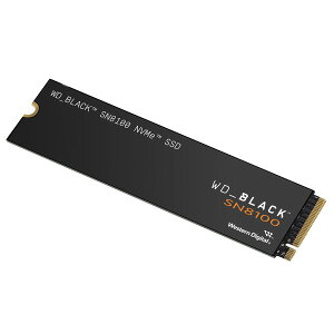 WESTERN DIGITAL WDS100T1X0M [SSD (M.2 2280E1TB)]