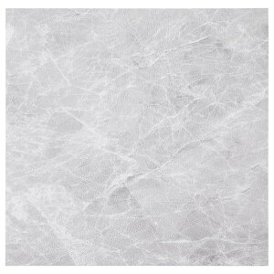  81965701 \Ă͂ Xg[tA^C 120g 6 30.5×30.5 SSA [J[