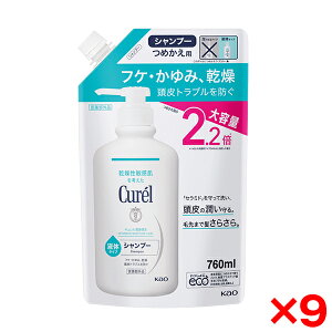 y9Zbgzԉ L Vv[߂pe 760ml