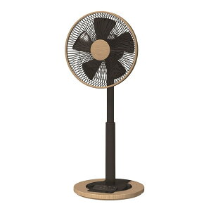 SKJ(GXPCWp) SKJ-K311DC(M) ؖڒ [rO@ (DC[^[/Rt)]