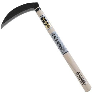 g  c^n 180MM