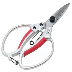 yGg[P5{!1410:00-1623:59z g A~A ʐn SGP]5NS