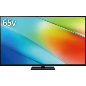 PANASONIC TV-65W90B VIERA�i�r�G���j W90B�V���[�Y [65V�^�n��EBS�E110�xCS�f�W�^�� 4K�`���[�i�[���� �t���e���r]