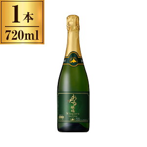 kCC  iCAK Xp[NO 720ml x1 [J[ Mtg v[g Ε ~Mtg