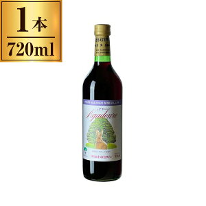 y11/27܂ŁIΕ鑁N[|sz 肭܂C ܂C ih[  720ml [J[ Mtg v[g Ε ~Mtg