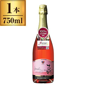 Ci[ C  Xp[NO[ 750ml [J[ Mtg v[g Ε ~Mtg