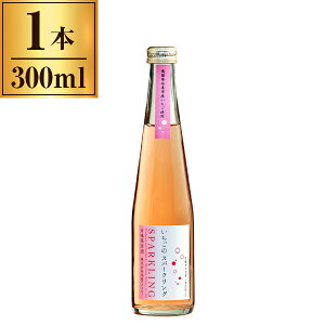Ci[ C ̃Xp[NO 300ml [J[