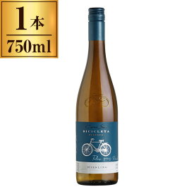 コノスル リースリング ビシクレタ レゼルバ / ヴィーニャ・コノスル 750ml 白ワイン チリ やや辛口 ライト〜ミディアムボディ