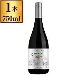 RmX O[\TGeB smEm[ 750ml ԃC ` h ~fBA{fB