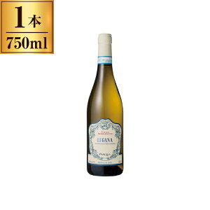 pXNA VB K[i  750ml [J[ Mtg v[g