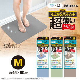 レック バスマット 激落ちくん 極薄 さらさら 45×60cm 日本製 洗濯OK お風呂マット 速乾 すべり止め 吸水 浴室 マット グレー ベージュ ブルー グリーン 笑激SHOCK ユニチカ マジかるバスマット LEC