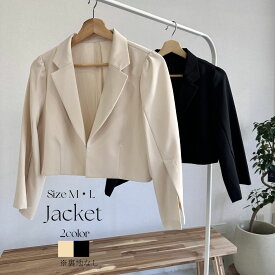 【ポイント2倍】レディース ジャケット テーラードジャケット スリットジャケット 裏地なし 体型カバー 二の腕カバー ゆったり L 長袖 春 秋 冬 きれいめ 上品 個性的 結婚式ドレス パンツドレス 卒業式 入学式 謝恩会 同窓会 セレモニー 20代 30代 40代 エーアール AR ar