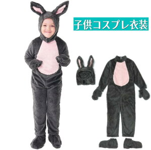 q  e RXvߑ e  [EFA pW} e̎ {A ӂӂ I[o[I[ q nEB ϐg e  ϐg Xqt a v[g 4_Zbg