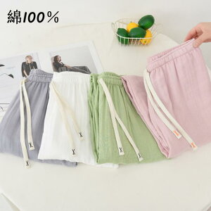 Rbgpc jp 100 [EFA yAbN  Y{ Jbv ȃp Oo ʋC ɗD  pc n 4F