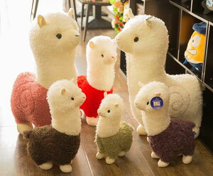 AvpJ ʂ 킢ʂ 傫TCY TCY q ޏ a v[g  蕨 Mtg ӂӂ ʂ ApJ 6F