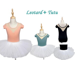 qoG_Xߑ oG I^[h ``XJ[g V̑ EFA LbY oGߑ ̎q WjA oGߑ {[XJ[g V[X[ Xgb` K