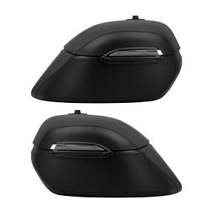 JTL XYL n[[_rbh\ QbWTCh{bNX {bNX TCh{bNX