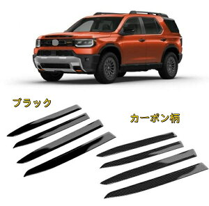 �z���_ �p�X�|�[�g YF9 2024- �h�A �K�[�j�b�V�� �g���� �C���e���A �p�l��