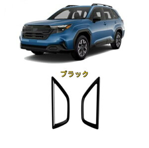 Xo tHX^[ SLn 25N hAnhJo[