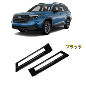 Xo tHX^[ SLn 25N Cs[K[jbV JX^ p[c O ANZT[