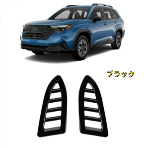 Xo tHX^[ SLn 25N ԗp GARxgt[ h~Jo[ ϖ ȒPt JX^p[c