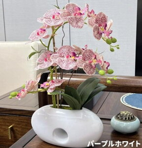  Ӓ R`E  ̓ ~j C~e[V tFCNt[ CeA  IV Y ꂢ  G C