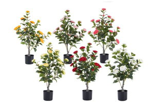 tFCNO[ I[u lHϗtA lHA ϗtA  A CeAO[ O[ CeA    fBXvC IuWF    bNX J