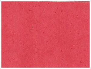 YonexilbNXj@EFbgX[p[Obvi1{j@AC103@ejX@ANZT[@13SS