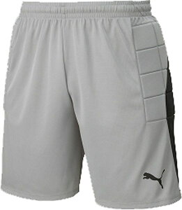 PUMAiv[}j@729968@05@TbJ[@LIGA WjA GKpc pbht@20Q1