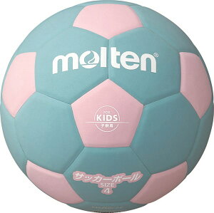 eiMoltenj@F4S2200PC@TbJ[@{[@TbJ[2200 y4@19SS