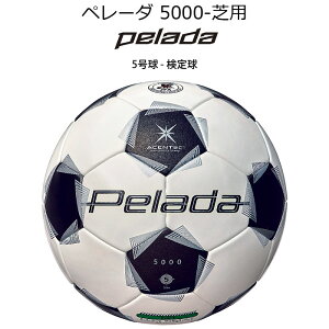 ������N�[�|�����s�� 6/26 01:59�܂� �y�V���������}���\���� �����e���iMolten�j�@F5K5000�@�T�b�J�[�{�[���@��6���� �y���[�_5000 �V�R�ŗp 5�����@25SS
