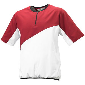 GXGXPCiSSKj@BWC1901@2210@싅@NXg[jO@n[tZIP@19FW