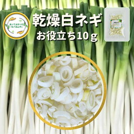 ＼先着限定クーポン配布！／ 乾燥野菜 乾燥白ねぎ 5mm輪切り 10g 契約栽培 フリーズドライ製法 送料無料 仕送り 一人暮らし 常備菜 時短 お手軽 非常食 即席みそ汁 カット済み *