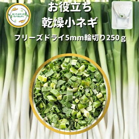 ＼先着限定クーポン配布！／ 乾燥野菜 乾燥こねぎ 5mm輪切り品 250g 契約栽培 フリーズドライ製法 仕送り 一人暮らし 常備菜 時短 お手軽 非常食 即席みそ汁 カット済み 業務用 *