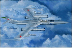 zr[{X 1/48 VAR Yak-28P t@CAo[ vf