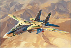 zr[{X 1/48 CR F-14A gLbg vf