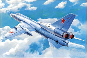 gyb^[ 1/72 \rGgR Tu-22K uC_[B vf