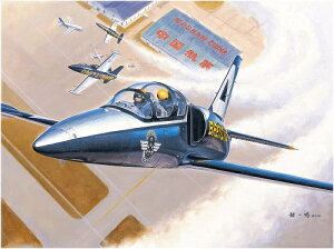 gyb^[ 1/48 `FRXoLAR L-39C AogX vf