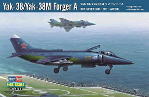 zr[{X 1/48 \ACR Yak-38/Yak-38M tH[W[A vf