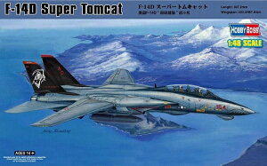 zr[{X 1/48 AJR F-14D gLbg vf