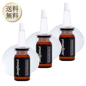 JeogSeoul EgVJ J[~OZ 8ml et  ێ CICA ؍RX `bN\E 3{