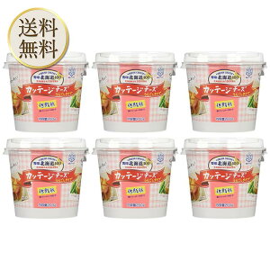 ① 󃁃O~N kC100 Jbe[W`[Y 炲^Cv 200O ×6