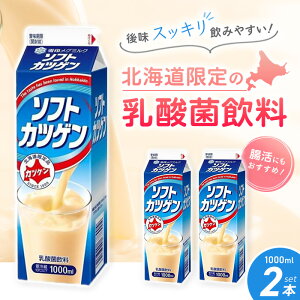 u①ցEۗܓňS͂vkC 󃁃O~N \tgJcQ 1000ml 2